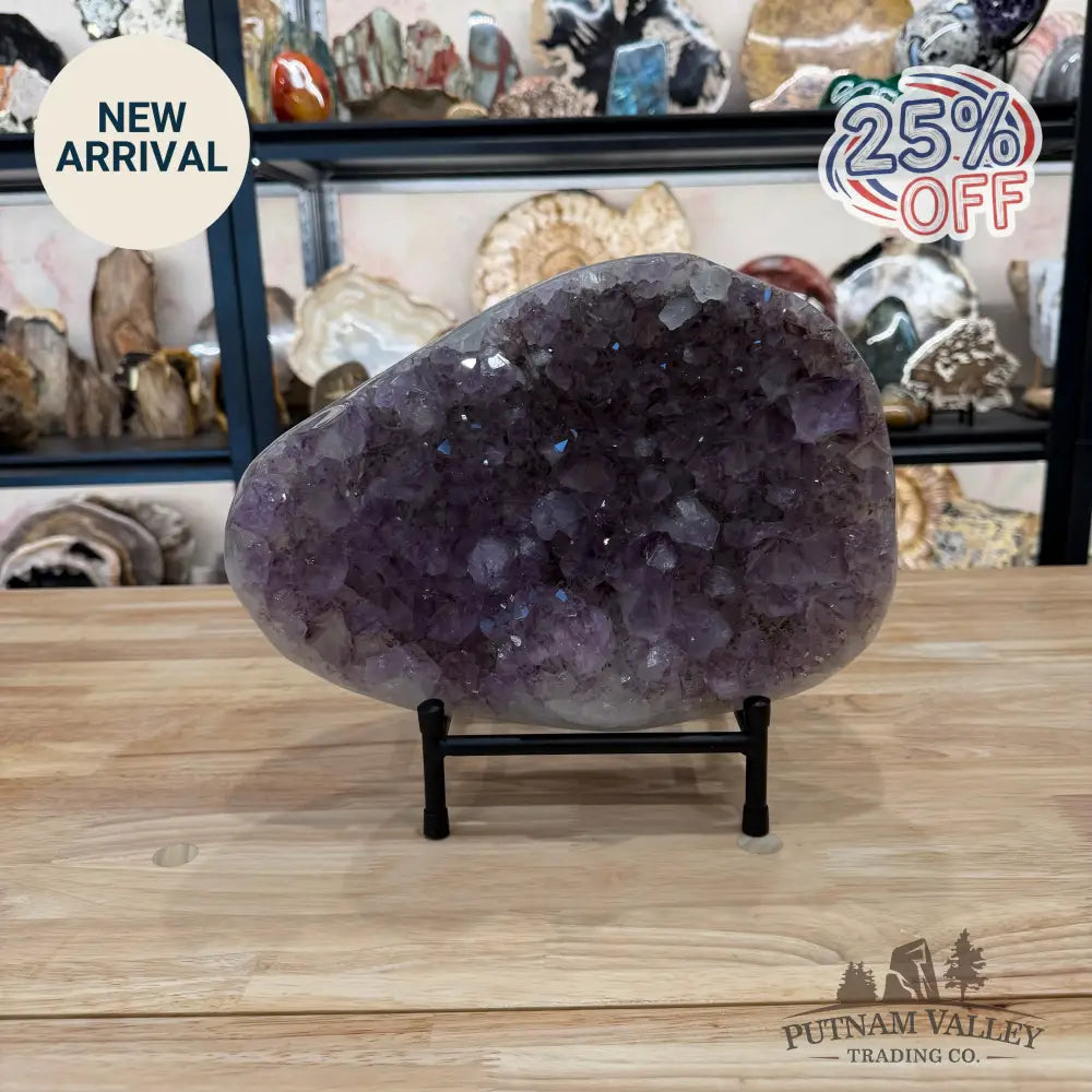 Brazilian Amethyst Geode 11.8’’ + Stand - Accent
