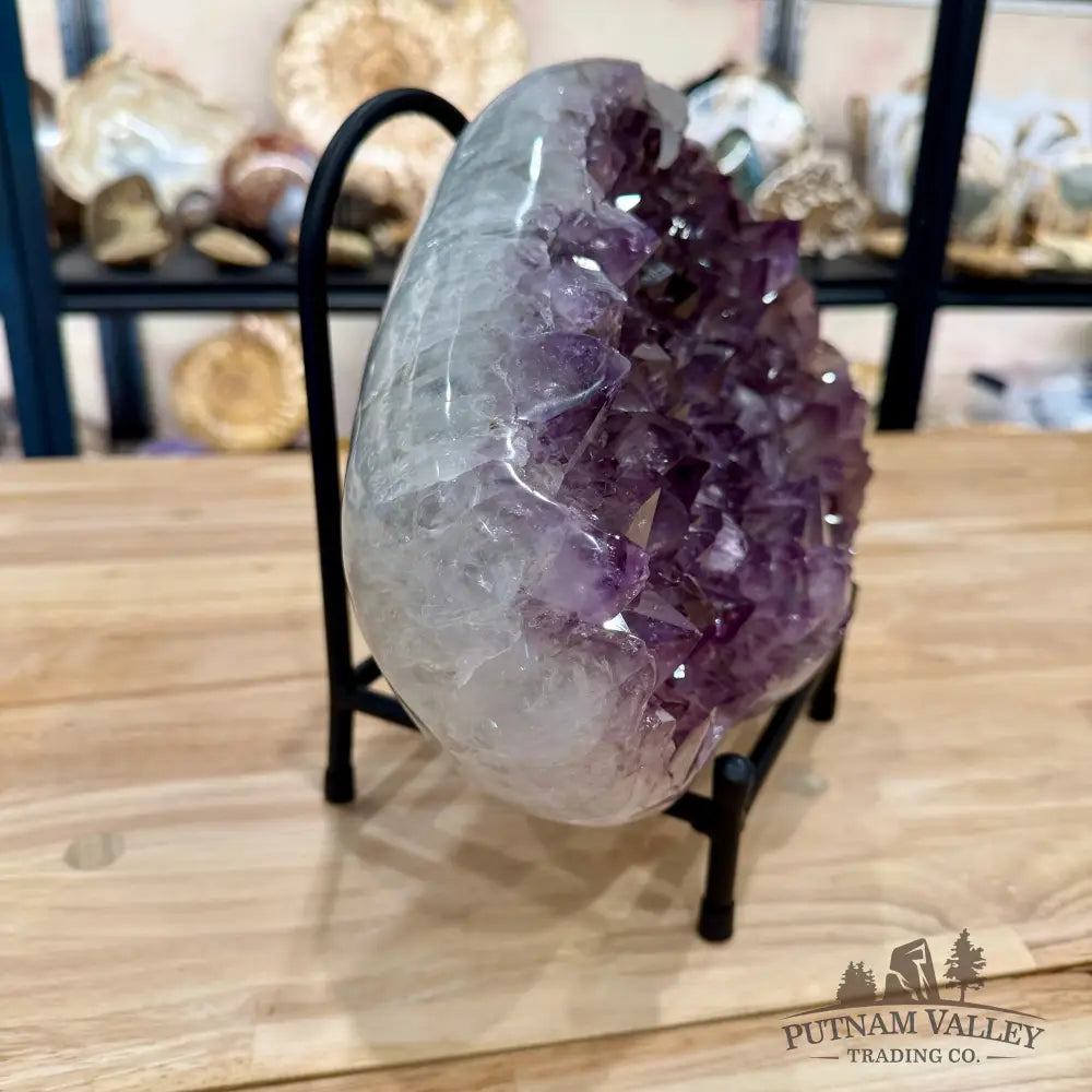 Brazilian Amethyst Geode 11.8’’ + Stand - Accent