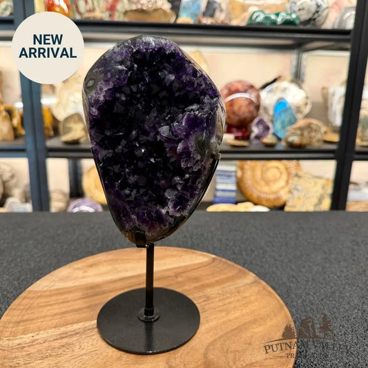 Brazilian Amethyst Geode + Stand 10.25’’ - Accent