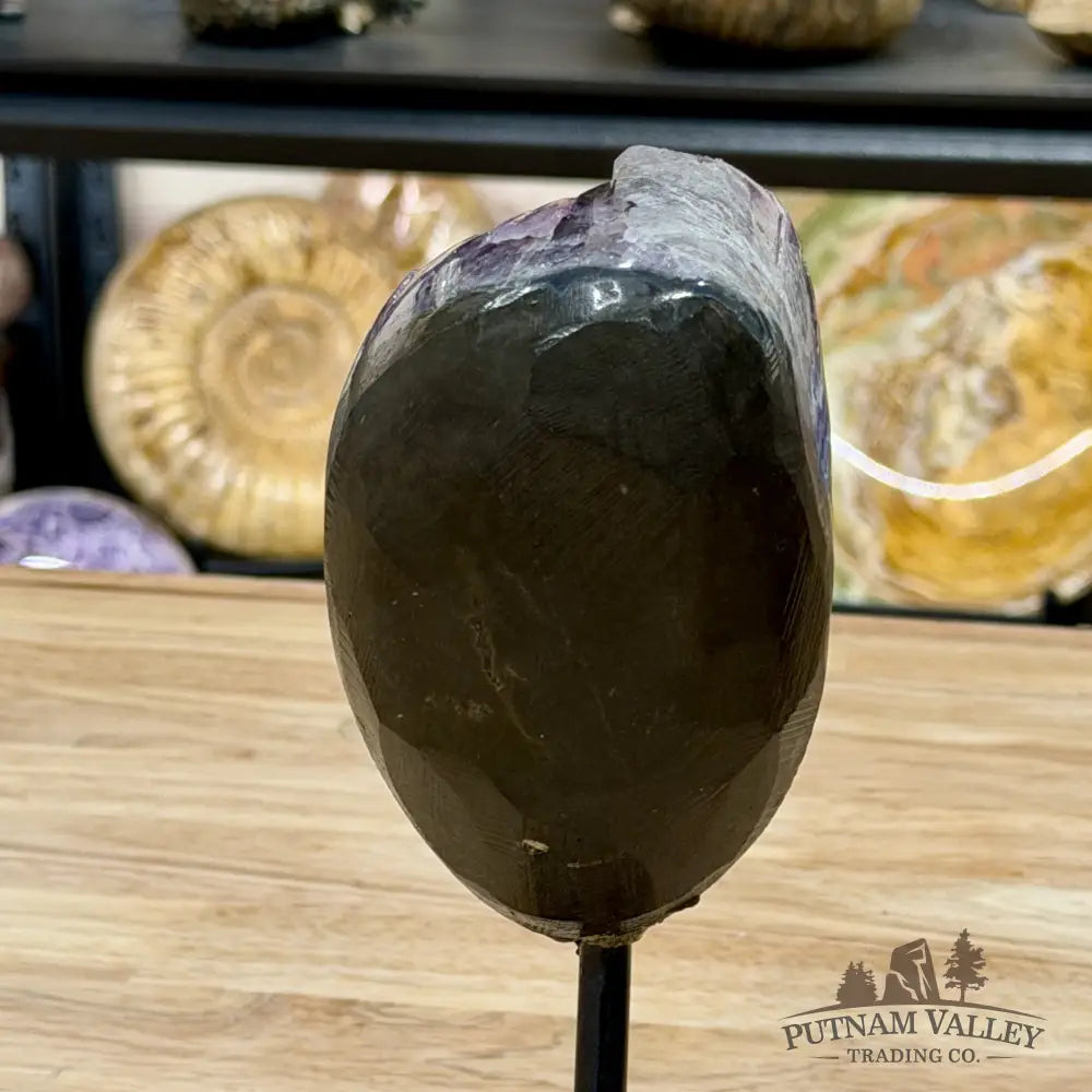 Brazilian Amethyst on Black Metal Stand 7.9’’ - Free Standing Accent