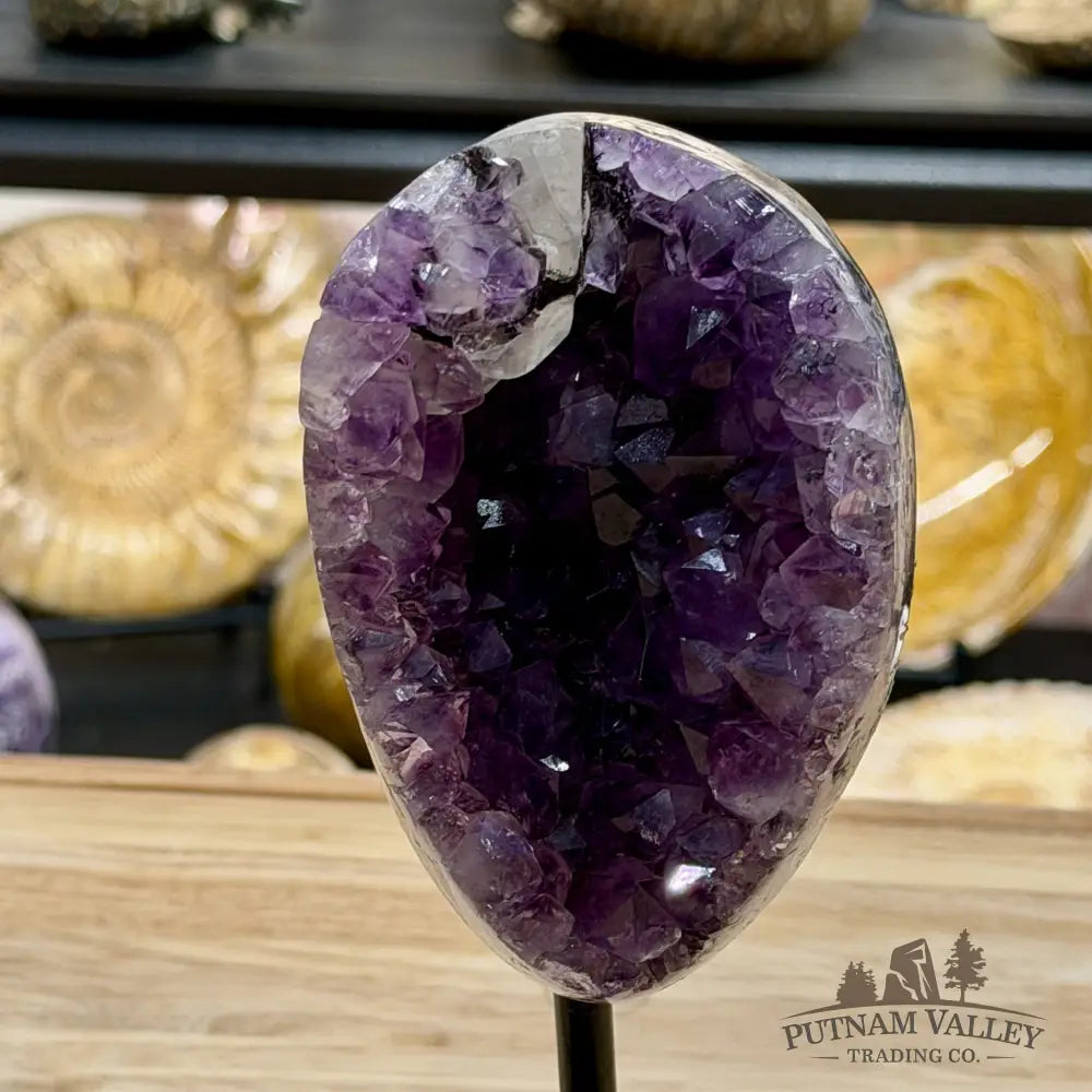 Brazilian Amethyst on Black Metal Stand 7.9’’ - Free Standing Accent