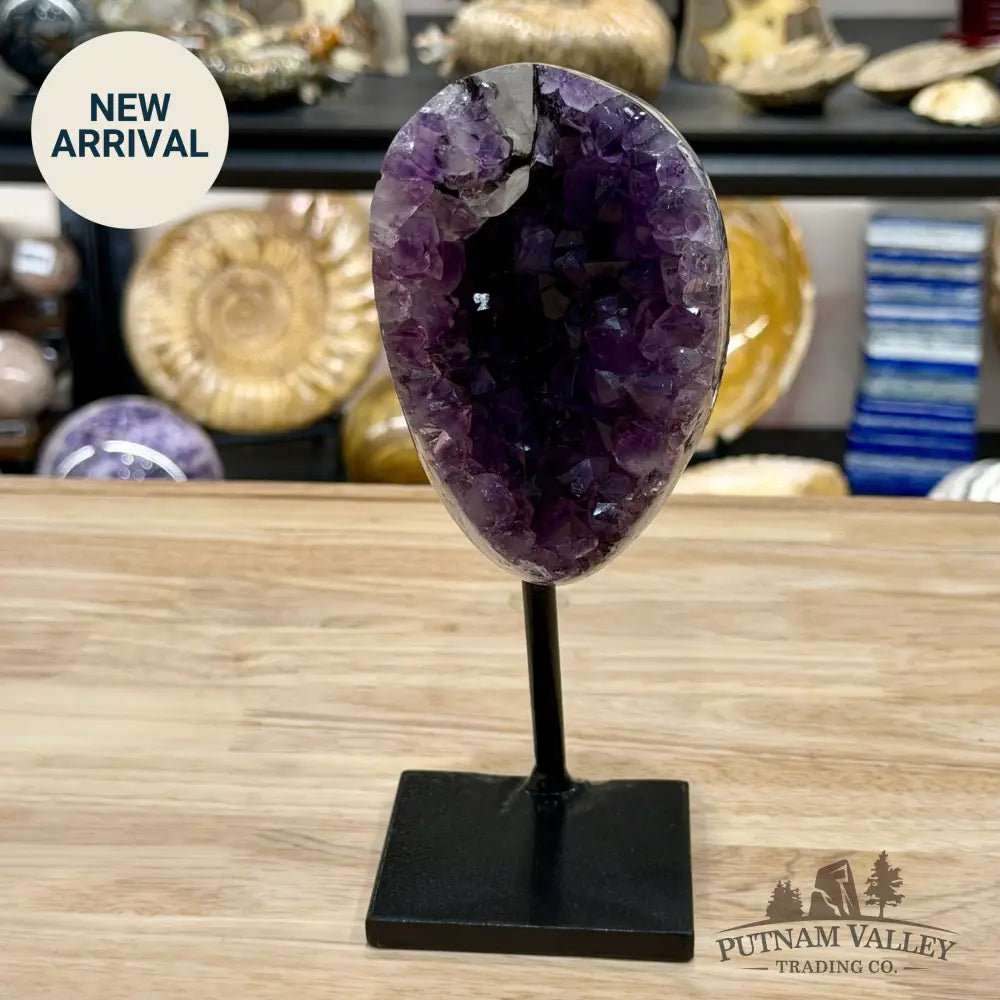 Brazilian Amethyst on Black Metal Stand 7.9’’ - Free Standing Accent