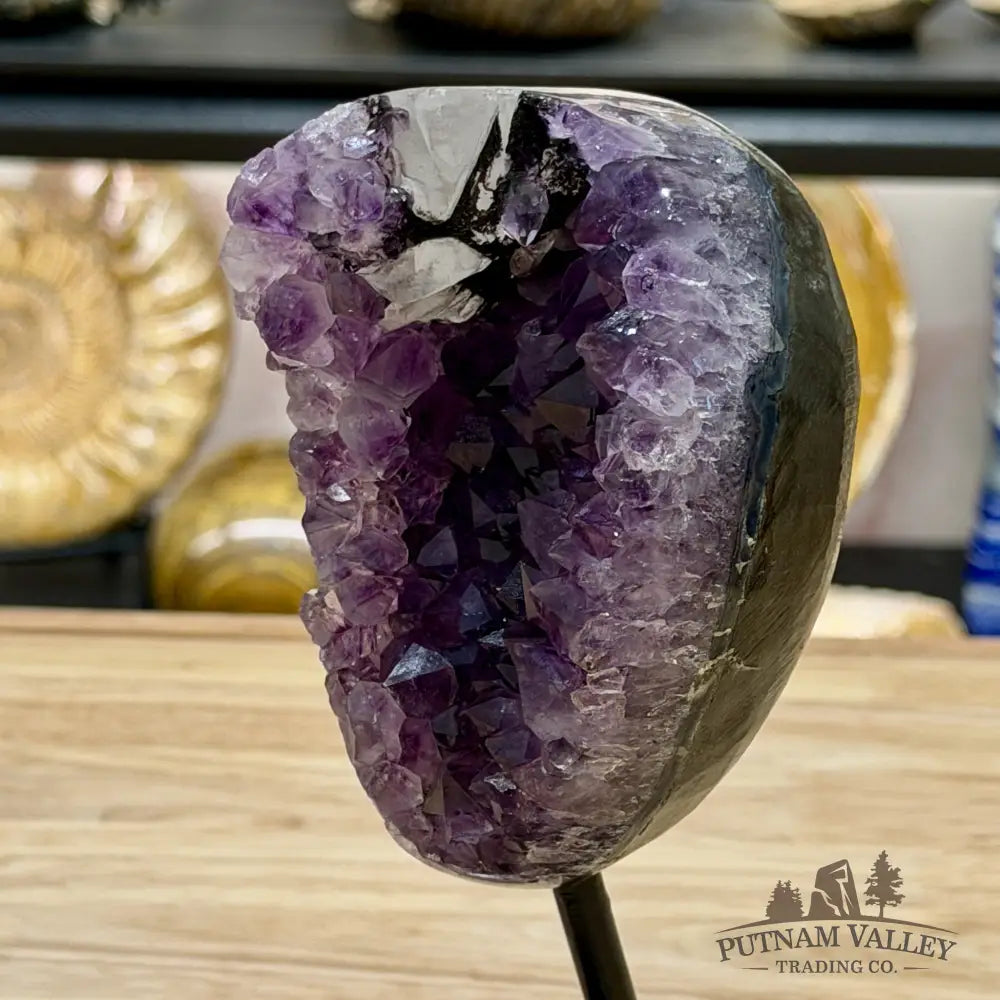 Brazilian Amethyst on Black Metal Stand 7.9’’ - Free Standing Accent