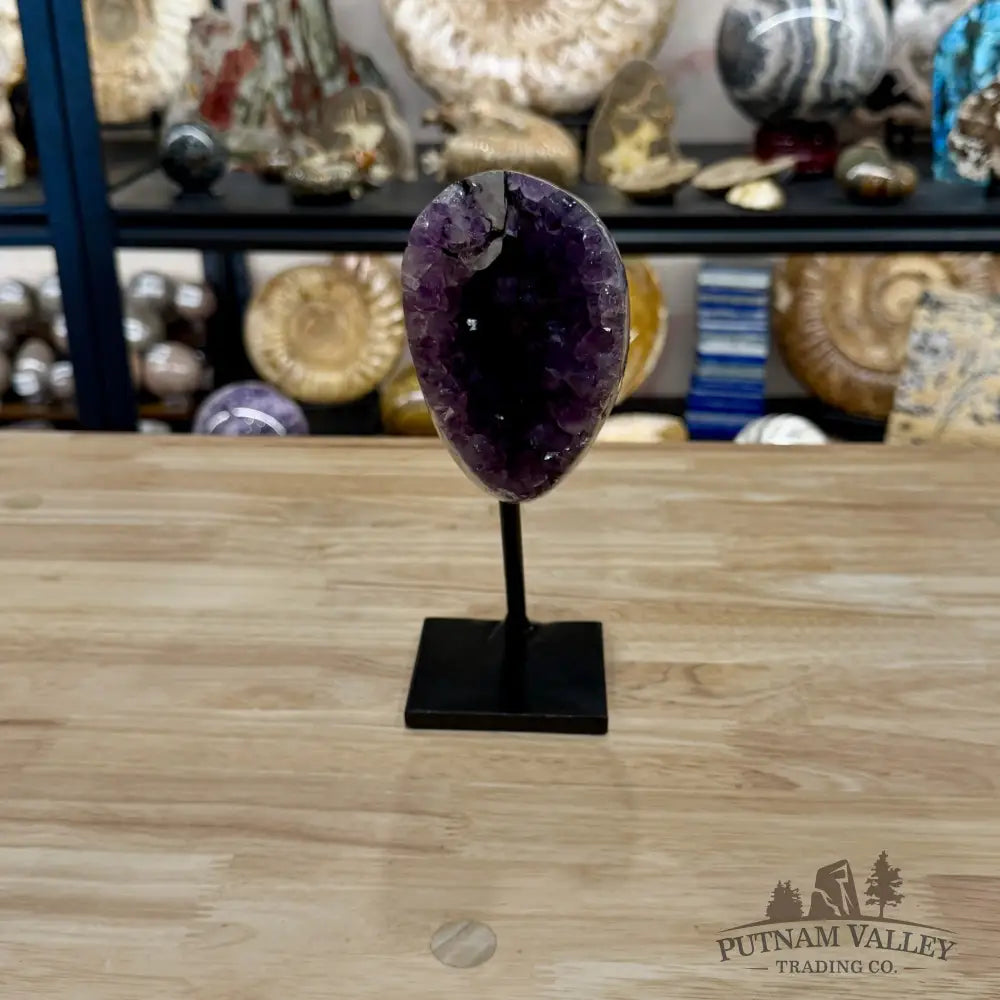Brazilian Amethyst on Black Metal Stand 7.9’’ - Free Standing Accent
