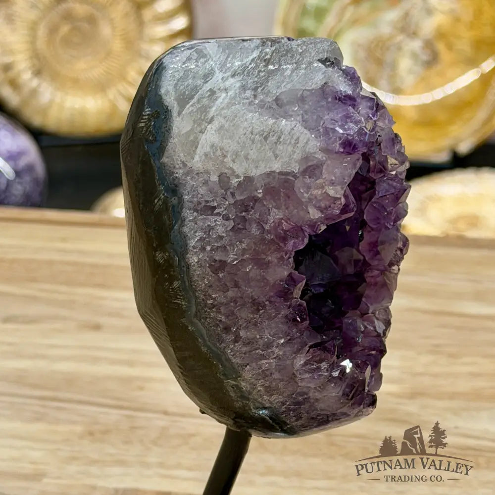 Brazilian Amethyst on Black Metal Stand 7.9’’ - Free Standing Accent