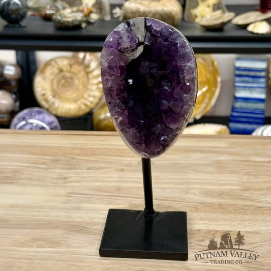 Brazilian Amethyst on Black Metal Stand 7.9’’ - Free Standing Accent