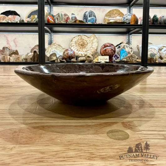 Brown Orthoceras Fossil Bowl 8’’ - Fossil Bowl