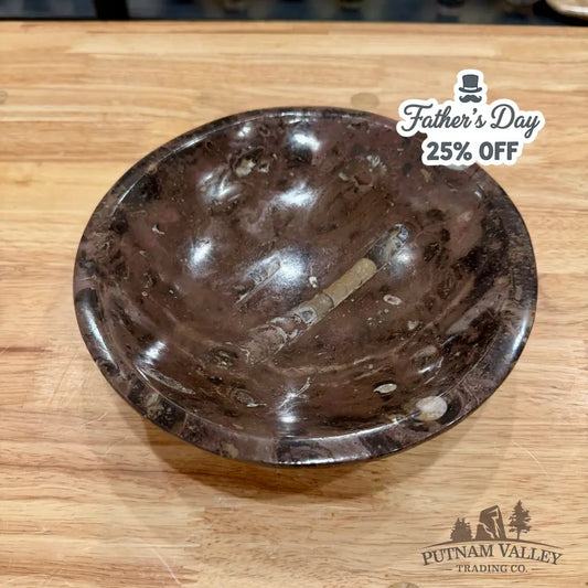 Brown Orthoceras Fossil Bowl 8’’ - Fossil Bowl
