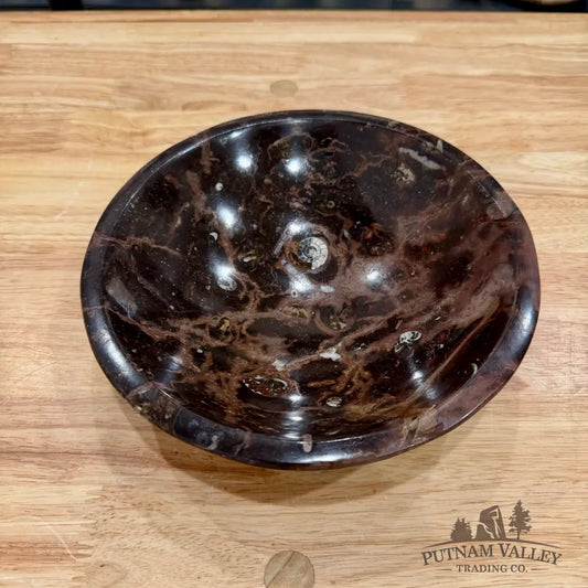 Brown Orthoceras Fossil Bowl 8’’ - Fossil Bowl