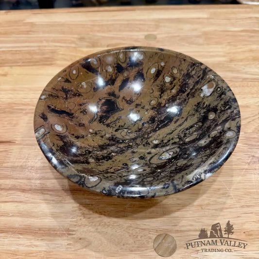 Brown Orthoceras Fossil Bowl 8’’ - Fossil Bowl