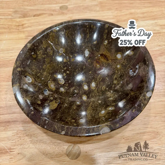 Brown Orthoceras Fossil Bowl 8’’ - Fossil Bowl