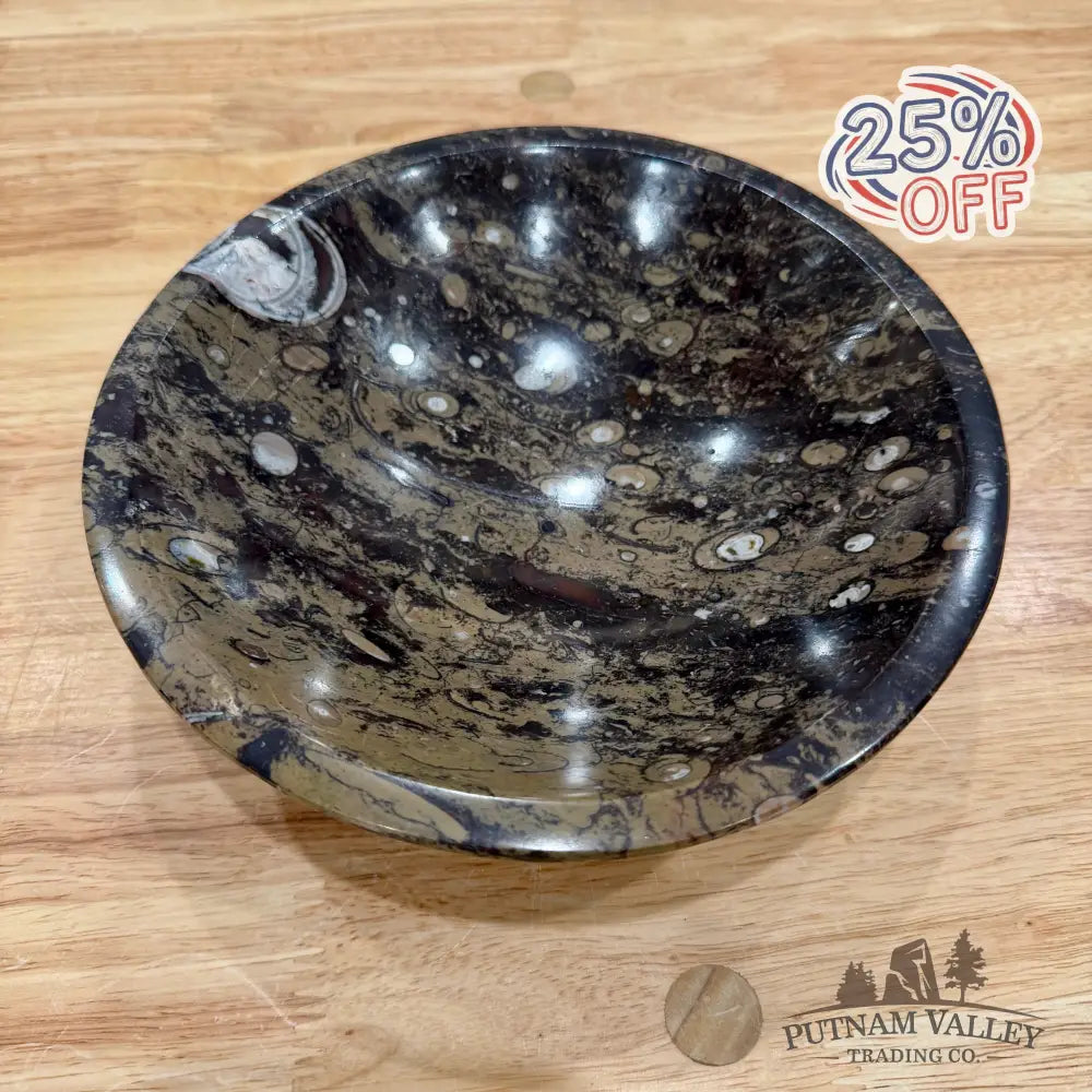 Brown Orthoceras Fossil Bowl 8’’ - Fossil Bowl