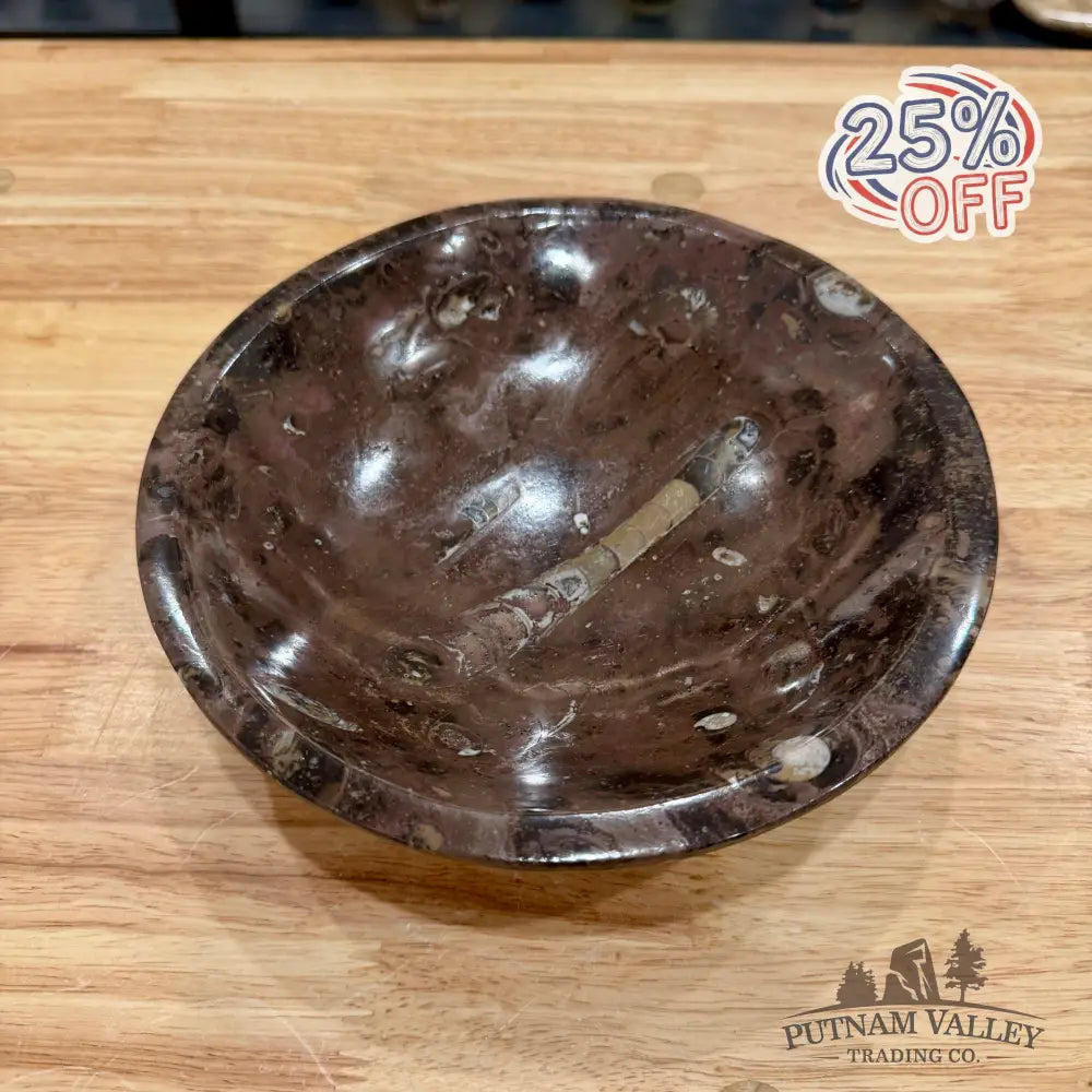 Brown Orthoceras Fossil Bowl 8’’ - Fossil Bowl