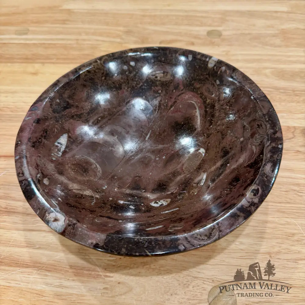 Brown Orthoceras Fossil Bowl 8’’ - Fossil Bowl