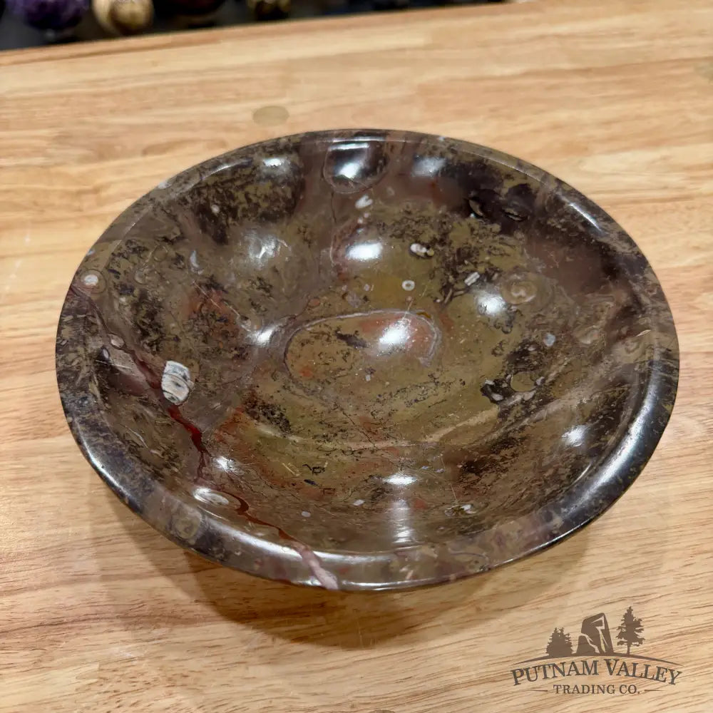 Brown Orthoceras Fossil Bowl 8’’ - Fossil Bowl