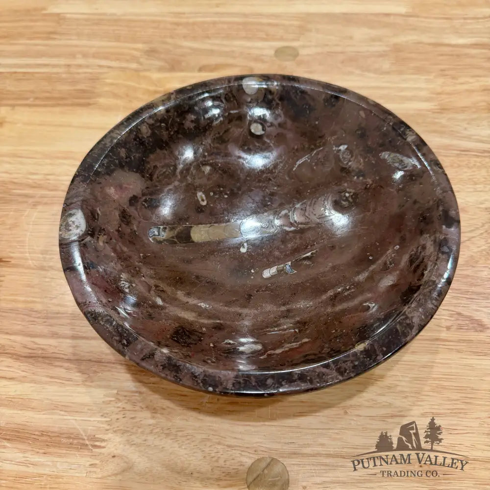 Brown Orthoceras Fossil Bowl 8’’ - Fossil Bowl