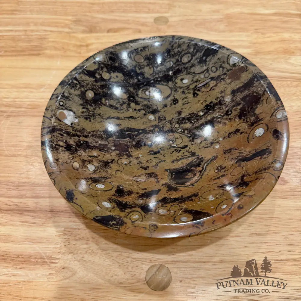 Brown Orthoceras Fossil Bowl 8’’ - Fossil Bowl