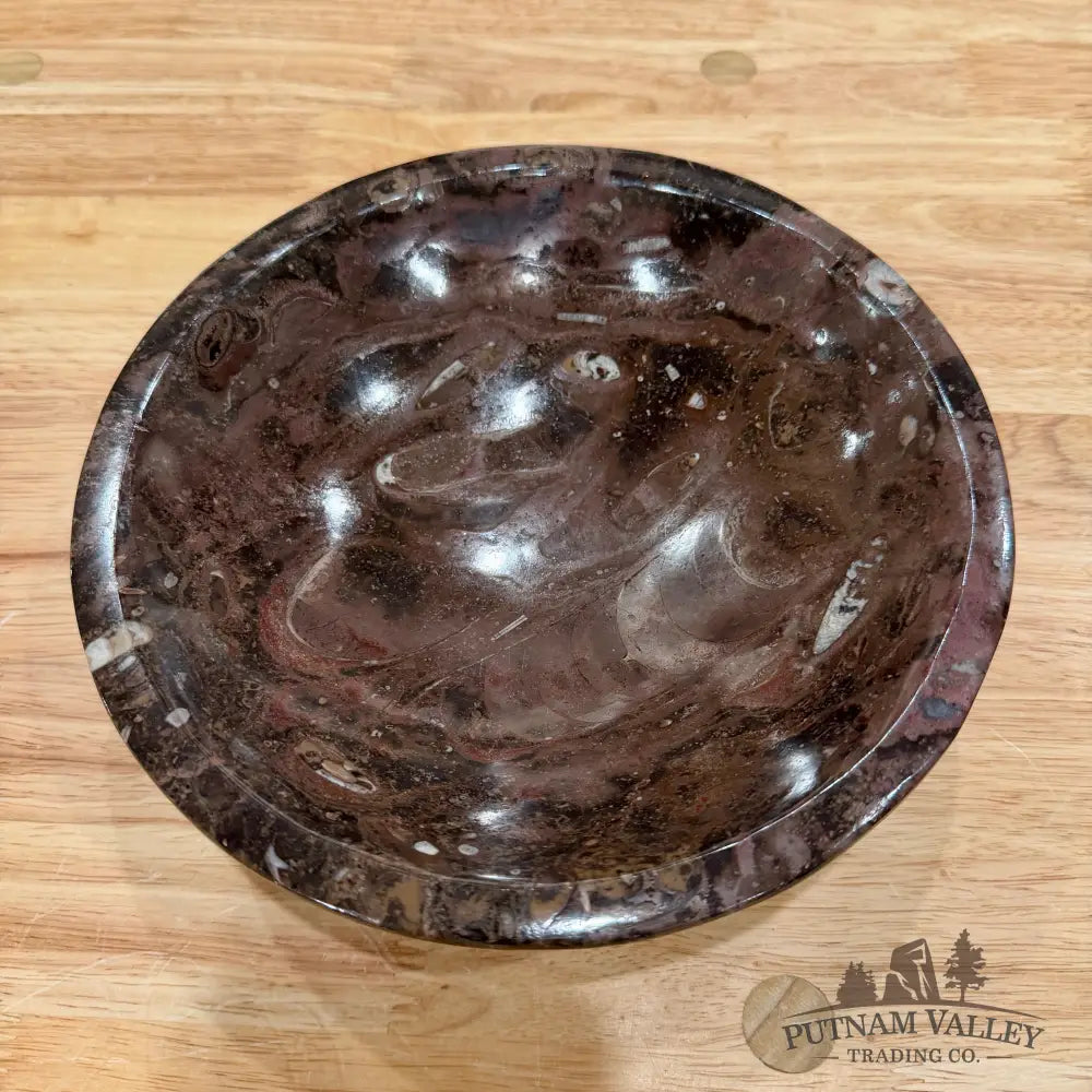Brown Orthoceras Fossil Bowl 8’’ - Fossil Bowl