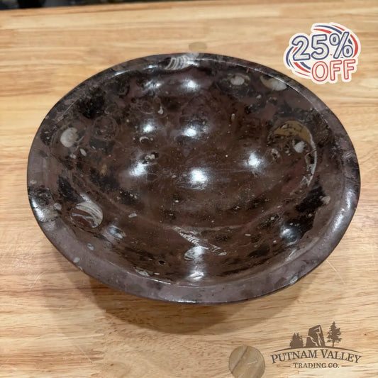 Brown Orthoceras Fossil Bowl 8’’ - Fossil Bowl