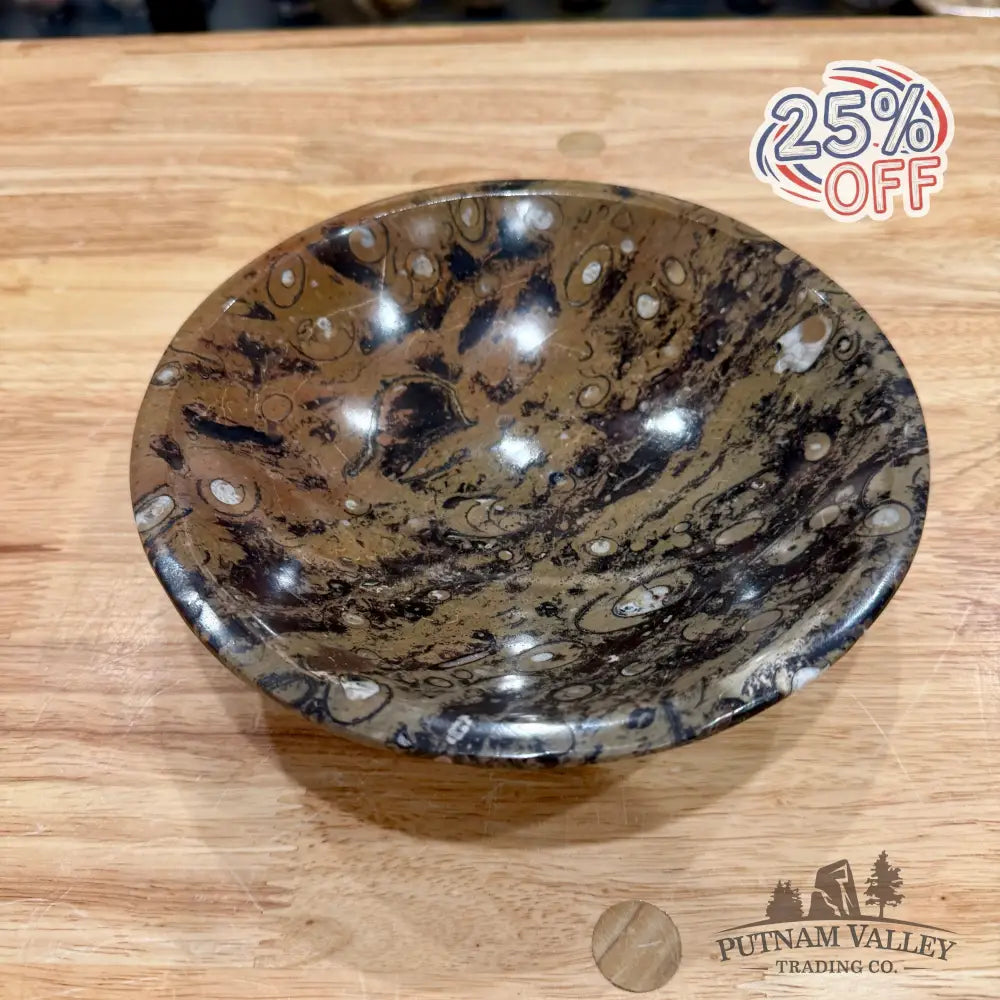 Brown Orthoceras Fossil Bowl 8’’ - Fossil Bowl