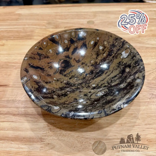 Brown Orthoceras Fossil Bowl 8’’ - Fossil Bowl