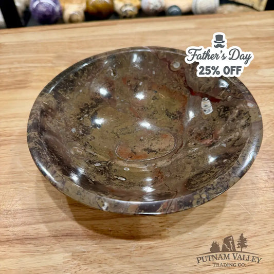 Brown Orthoceras Fossil Bowl 8’’ - Fossil Bowl