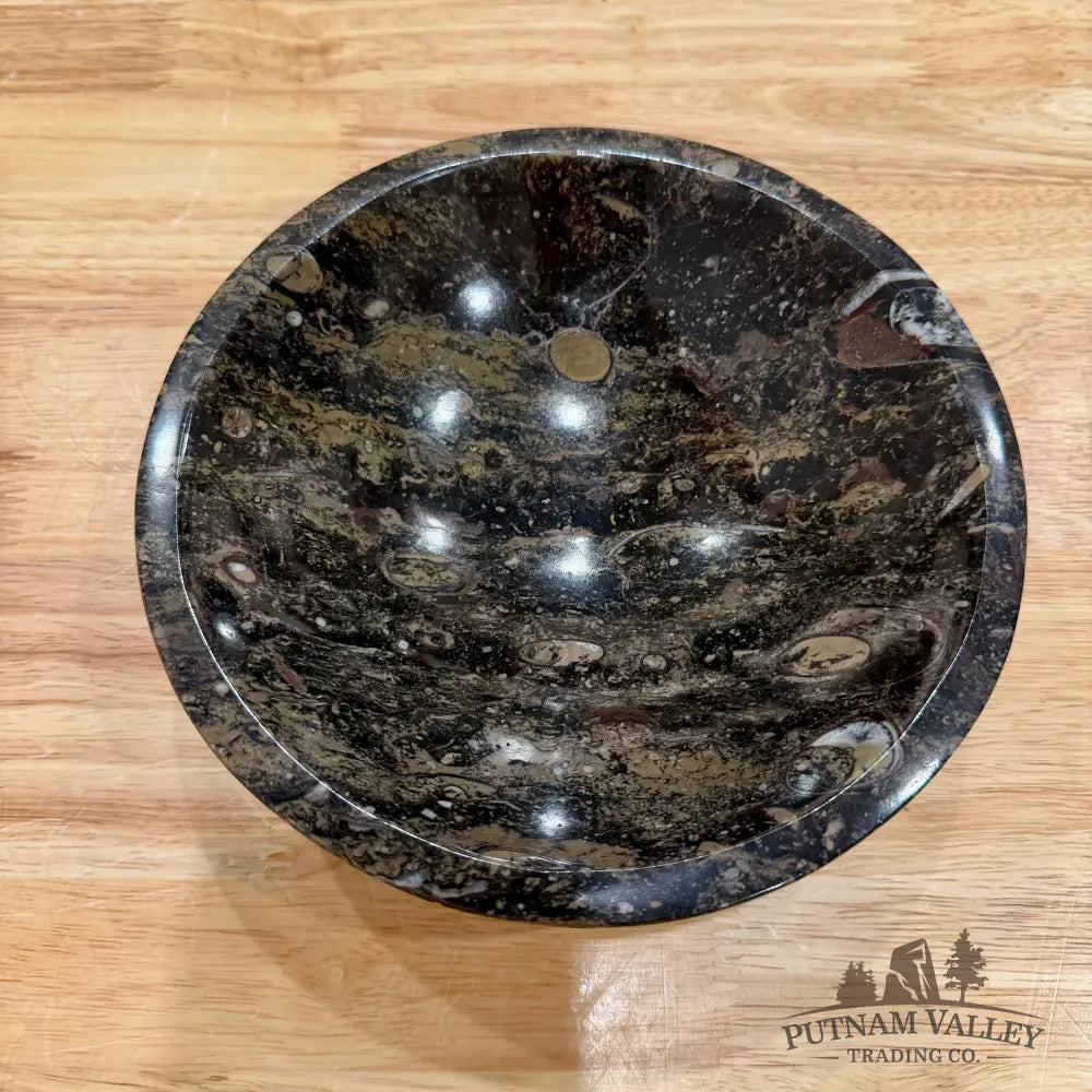 Brown Orthoceras Fossil Bowl 8’’ - Fossil Bowl