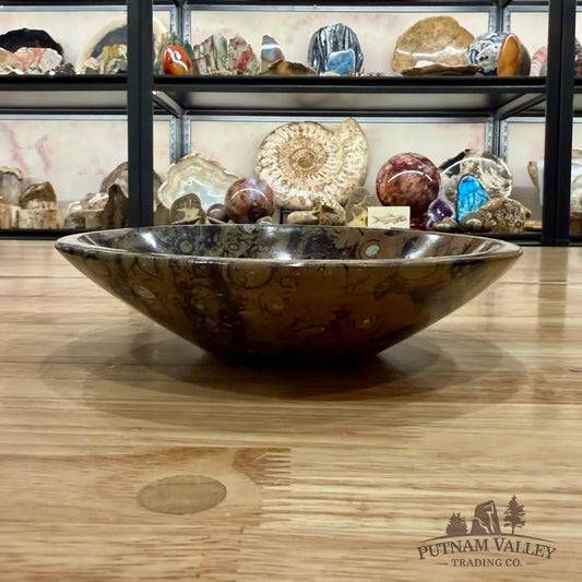 Brown Orthoceras Fossil Bowl 8’’ - Fossil Bowl