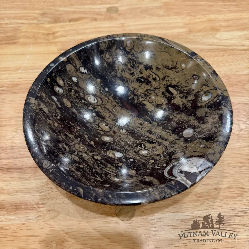 Brown Orthoceras Fossil Bowl 8’’ - Fossil Bowl