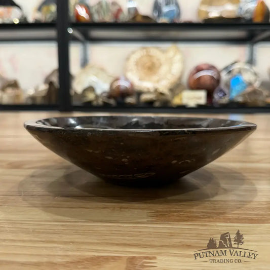 Brown Orthoceras Fossil Bowl 8’’ - Fossil Bowl