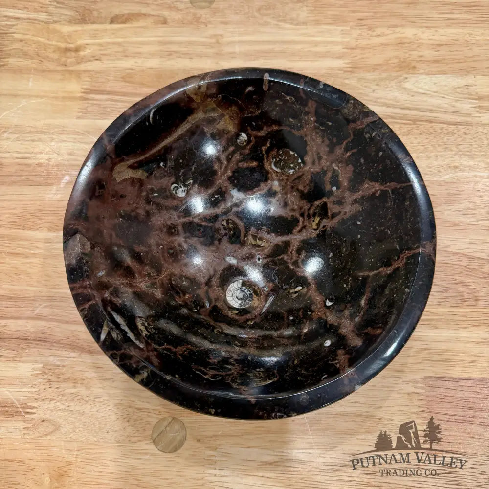Brown Orthoceras Fossil Bowl 8’’ - Fossil Bowl