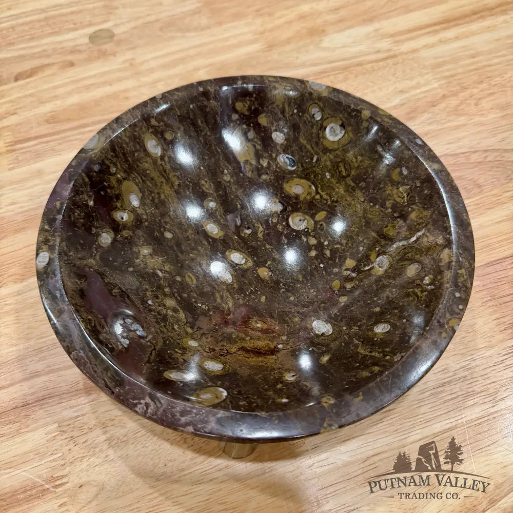 Brown Orthoceras Fossil Bowl 8’’ - Fossil Bowl