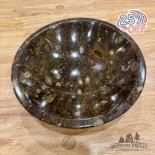 Brown Orthoceras Fossil Bowl 8’’ - Fossil Bowl