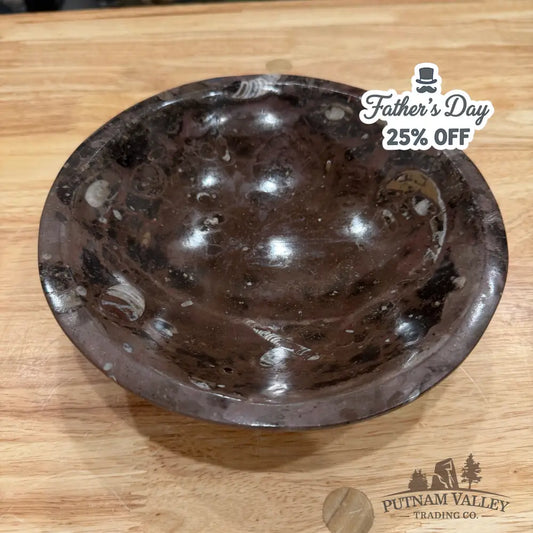 Brown Orthoceras Fossil Bowl 8’’ - Fossil Bowl
