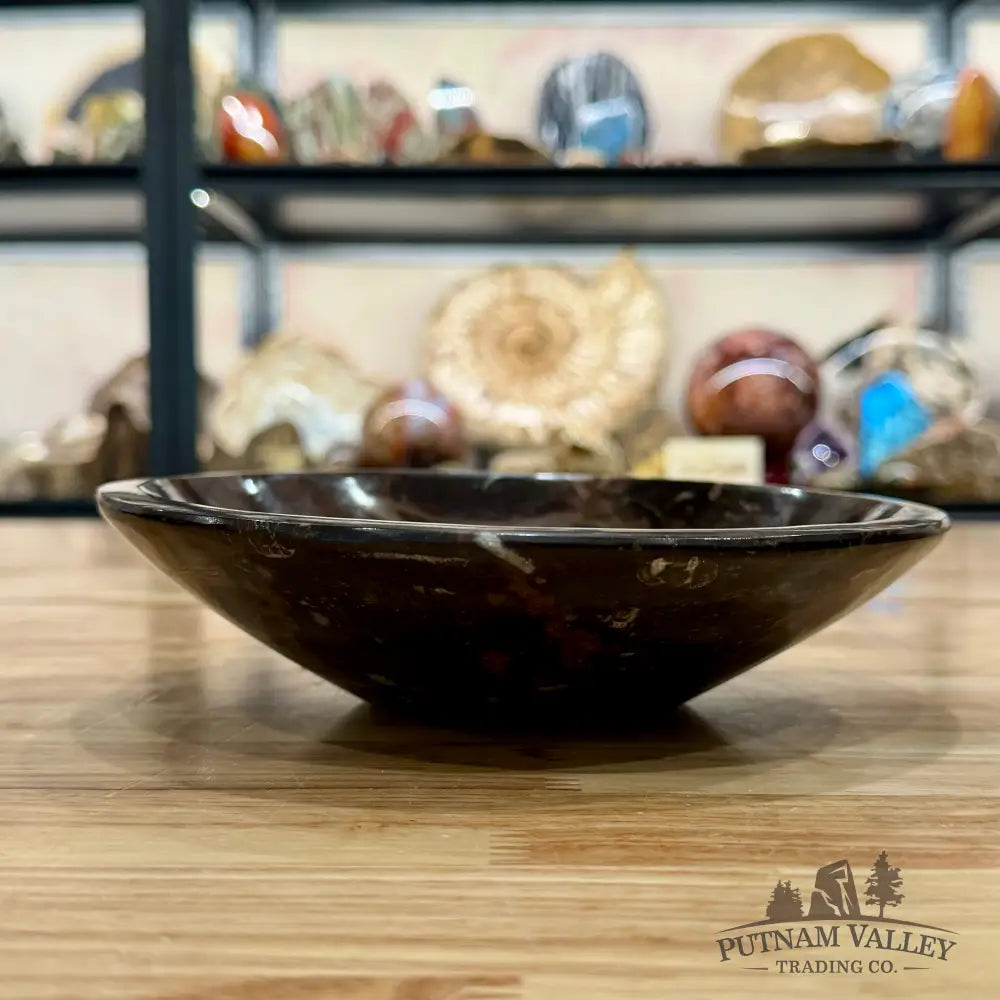 Brown Orthoceras Fossil Bowl 8’’ - Fossil Bowl