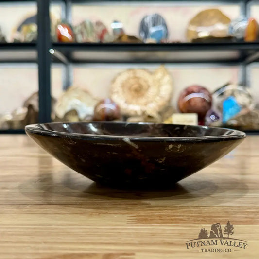 Brown Orthoceras Fossil Bowl 8’’ - Fossil Bowl