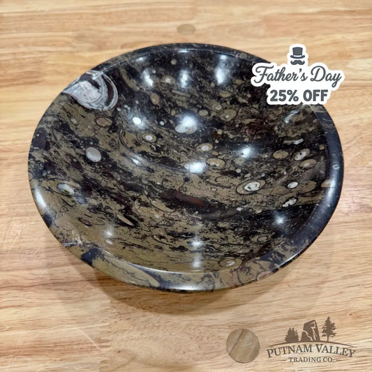 Brown Orthoceras Fossil Bowl 8’’ - Fossil Bowl