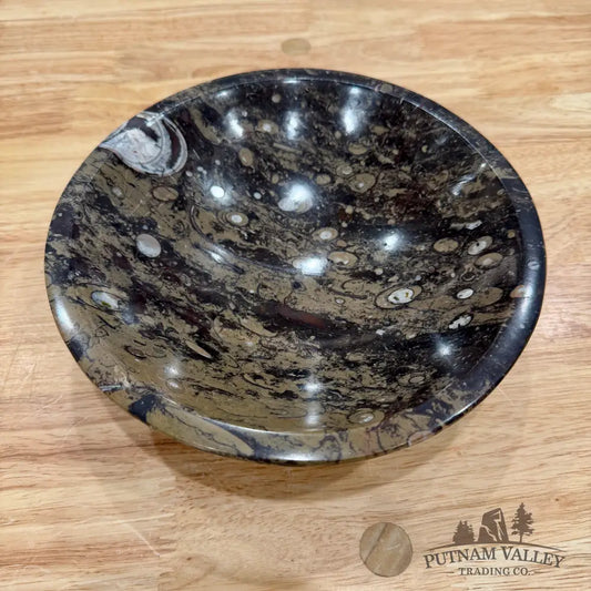 Brown Orthoceras Fossil Bowl 8’’ - Fossil Bowl