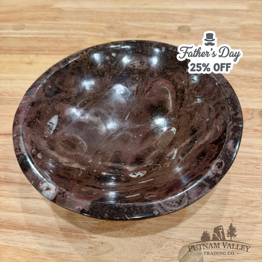 Brown Orthoceras Fossil Bowl 8’’ - Fossil Bowl