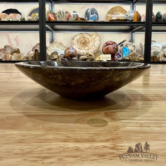 Brown Orthoceras Fossil Bowl 8’’ - Fossil Bowl