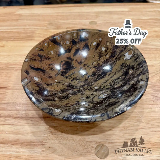 Brown Orthoceras Fossil Bowl 8’’ - Fossil Bowl