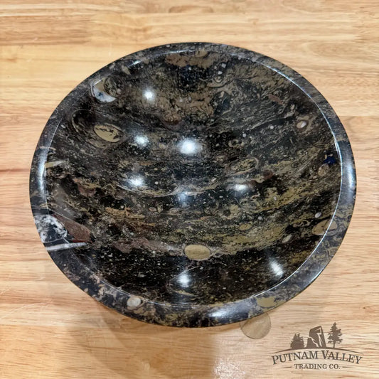 Brown Orthoceras Fossil Bowl 8’’ - Fossil Bowl