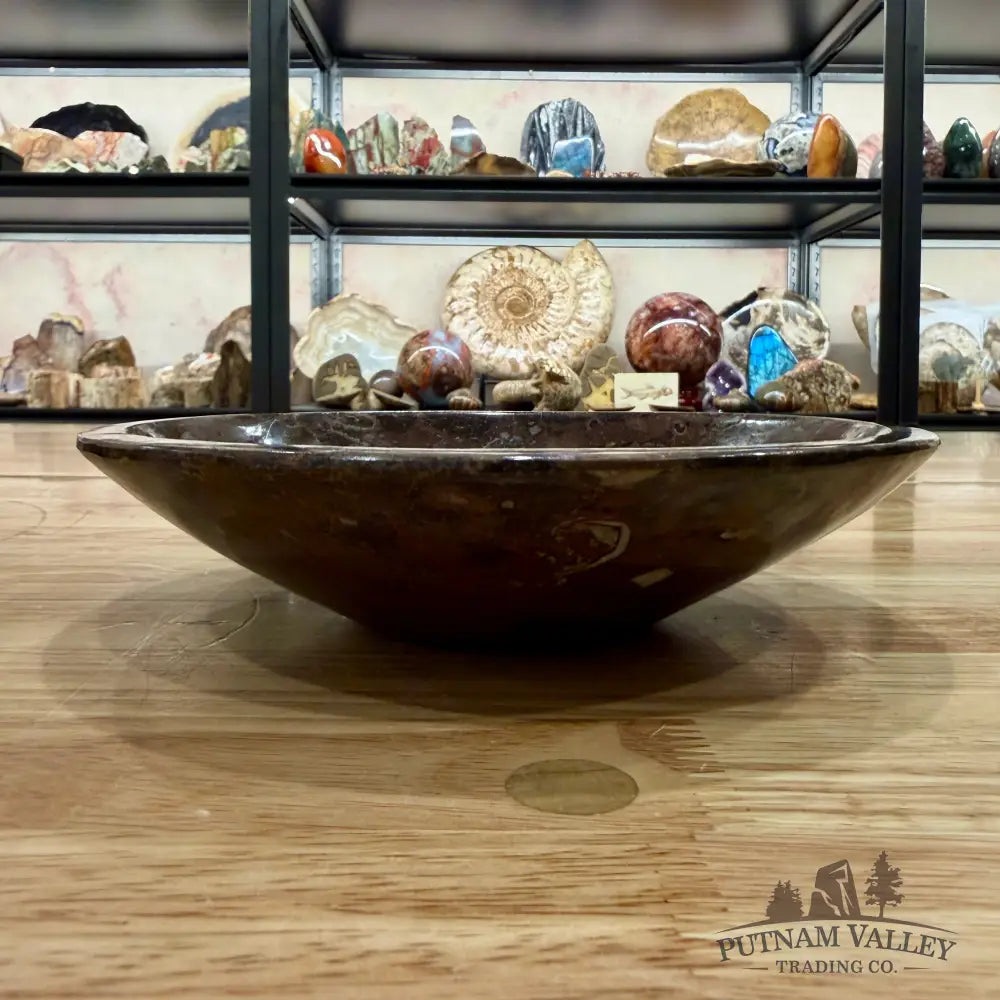 Brown Orthoceras Fossil Bowl 8’’ - Fossil Bowl