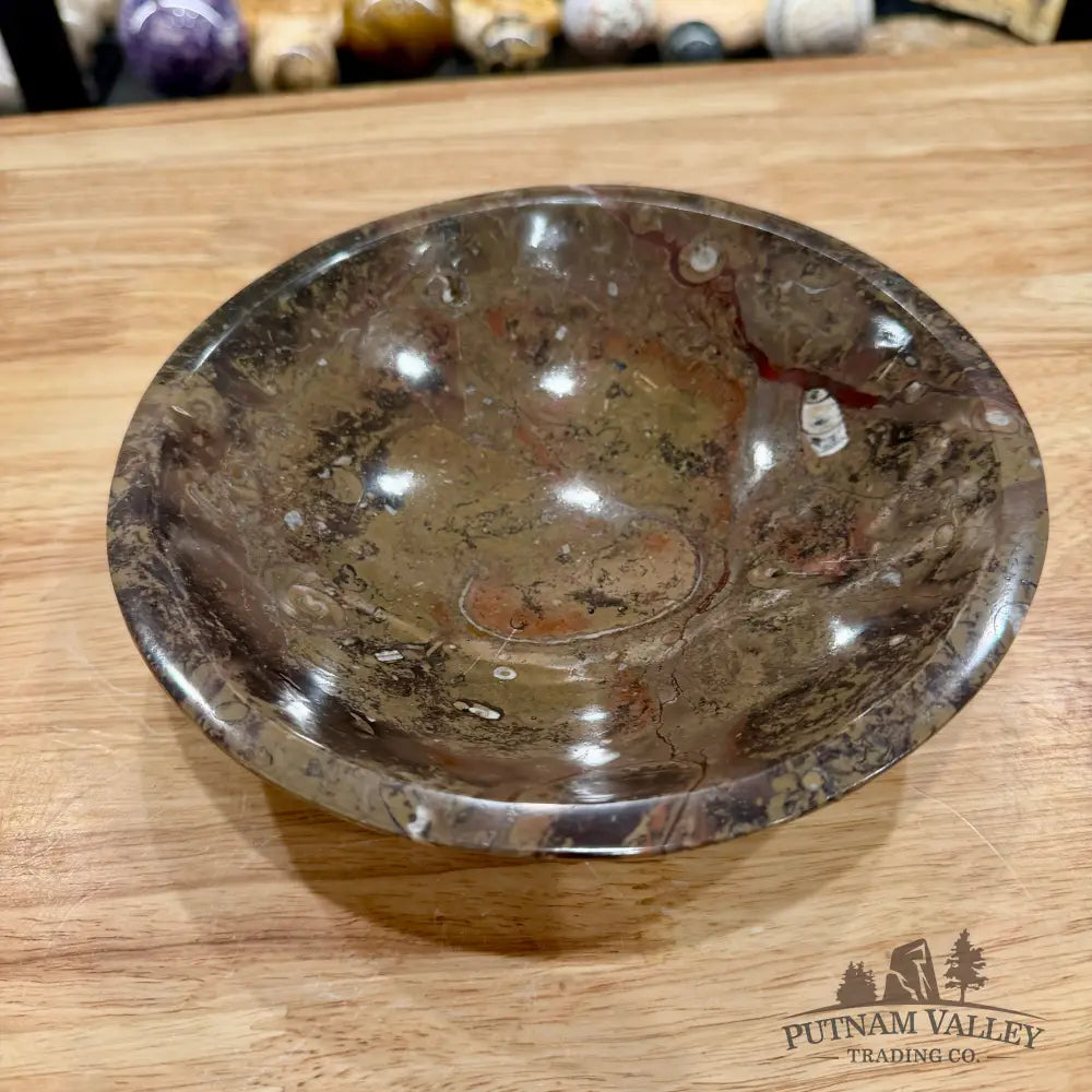 Brown Orthoceras Fossil Bowl 8’’ - Fossil Bowl