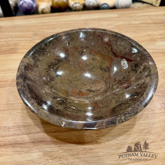 Brown Orthoceras Fossil Bowl 8’’ - Fossil Bowl
