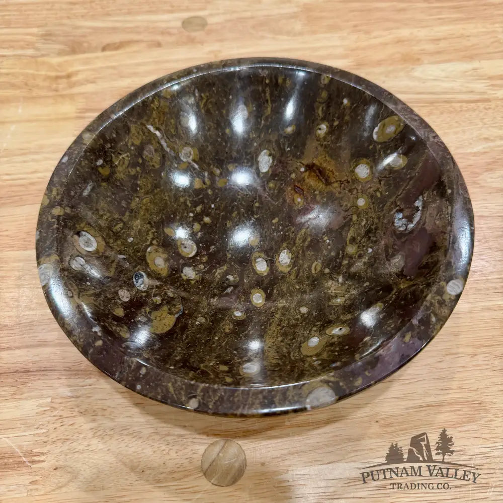Brown Orthoceras Fossil Bowl 8’’ - Fossil Bowl