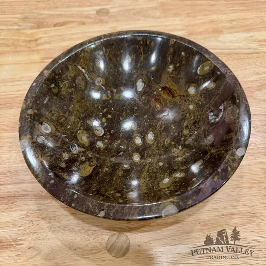 Brown Orthoceras Fossil Bowl 8’’ - Fossil Bowl