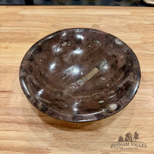 Brown Orthoceras Fossil Bowl 8’’ - Fossil Bowl