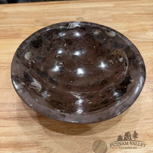 Brown Orthoceras Fossil Bowl 8’’ - Fossil Bowl