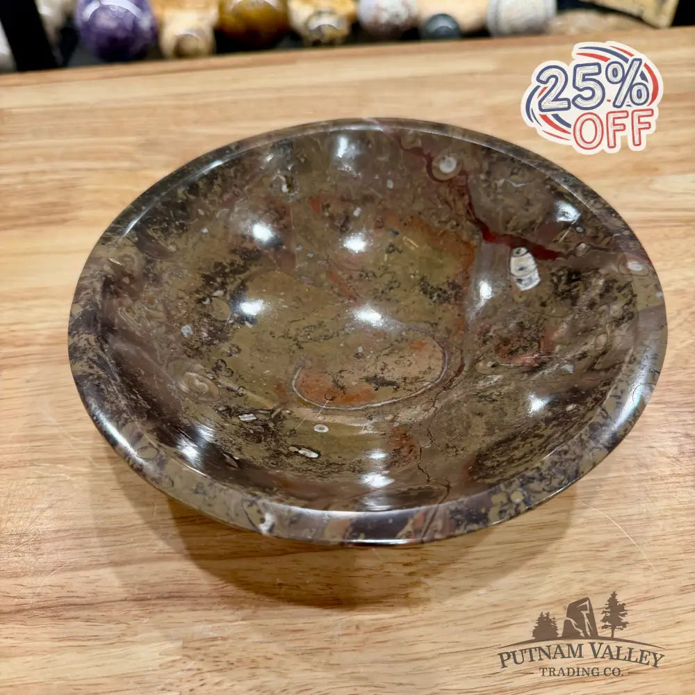Brown Orthoceras Fossil Bowl 8’’ - Fossil Bowl